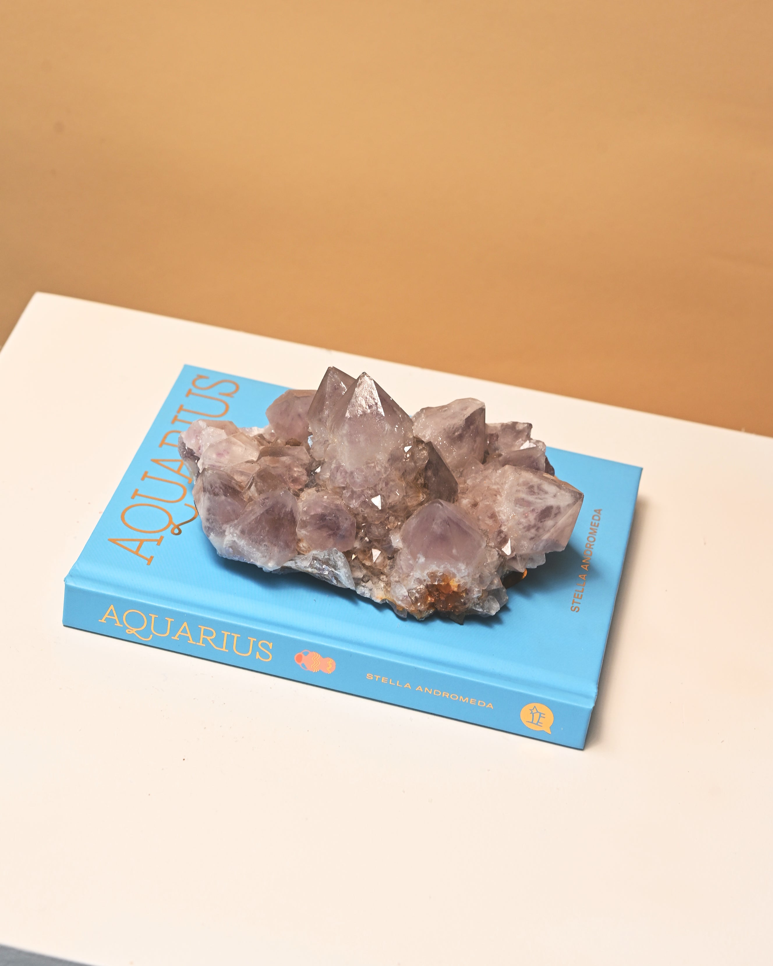 Amethyst Spirit Cactus Quartz Cluster 4in