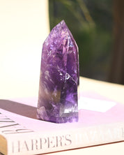 Bahia Amethyst Tower