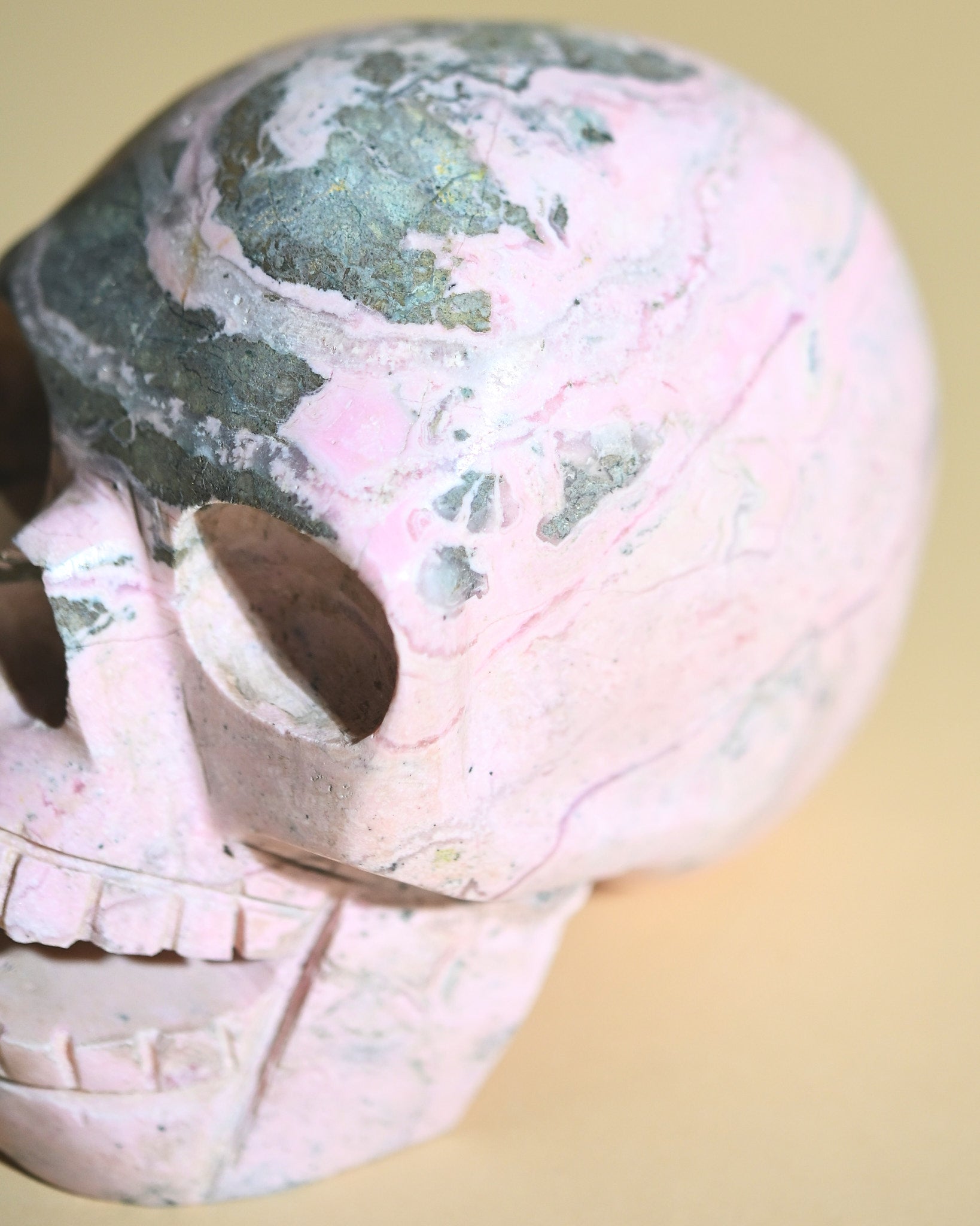 Rhodonite Skull 5lbs - rhodonite crystal crystal skull in natural light