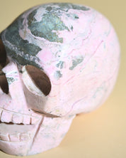 Rhodonite Skull 5lbs - rhodonite crystal crystal skull in natural light