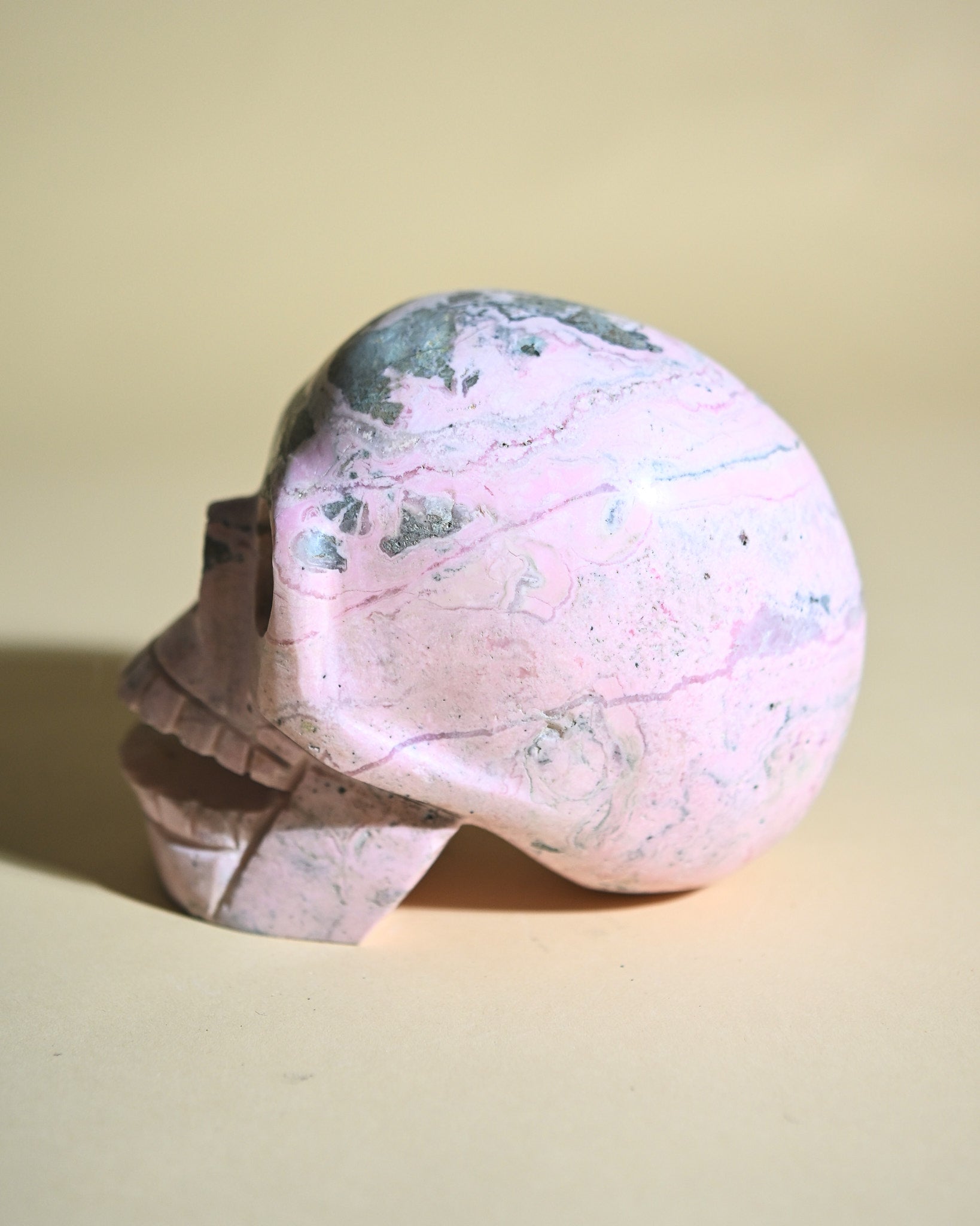 Rhodonite Skull 5lbs - rhodonite crystal crystal skull scale view
