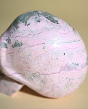 Rhodonite Skull 5lbs - rhodonite crystal crystal skull styled in home