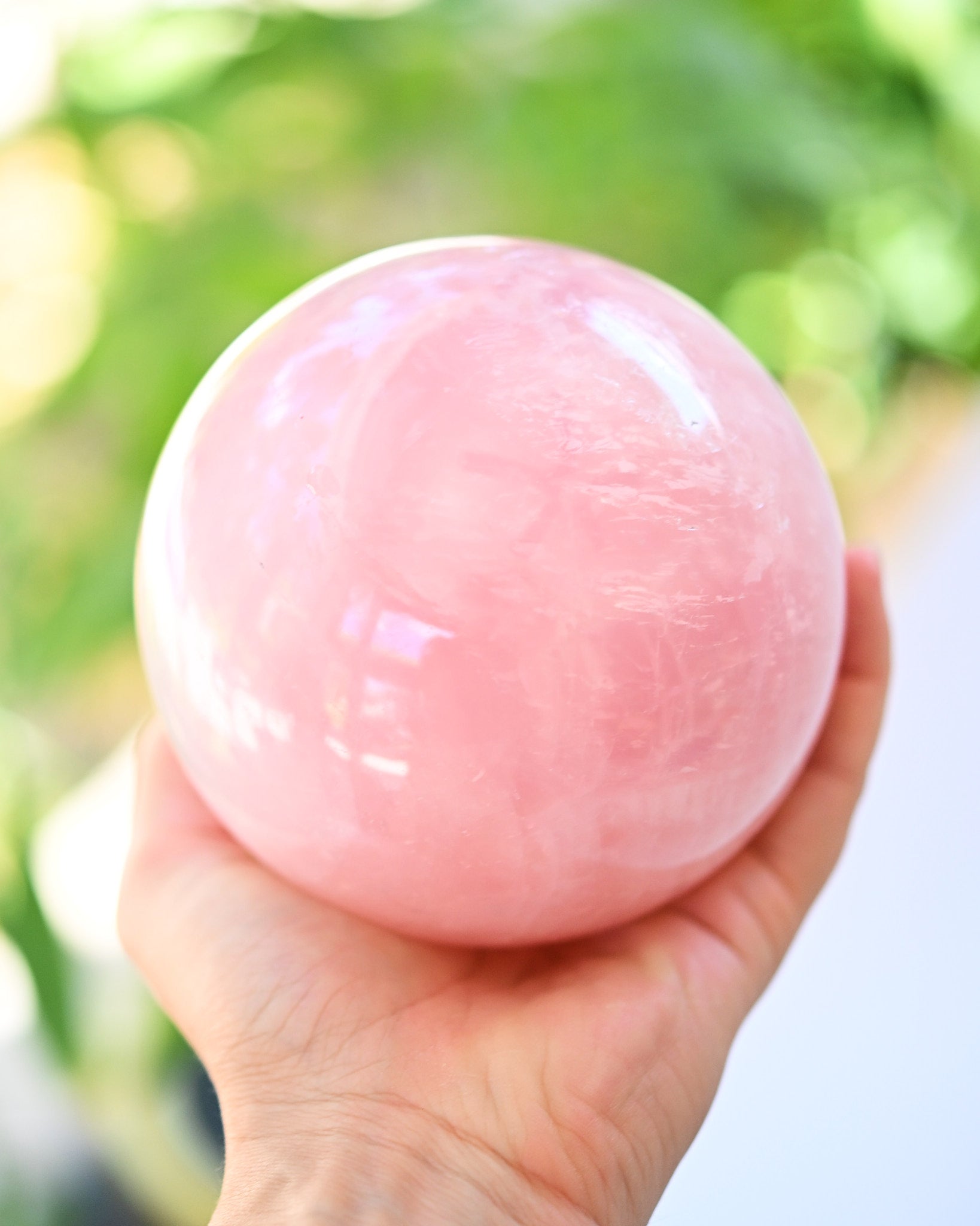 XL Rose Quartz Sphere 4lbs