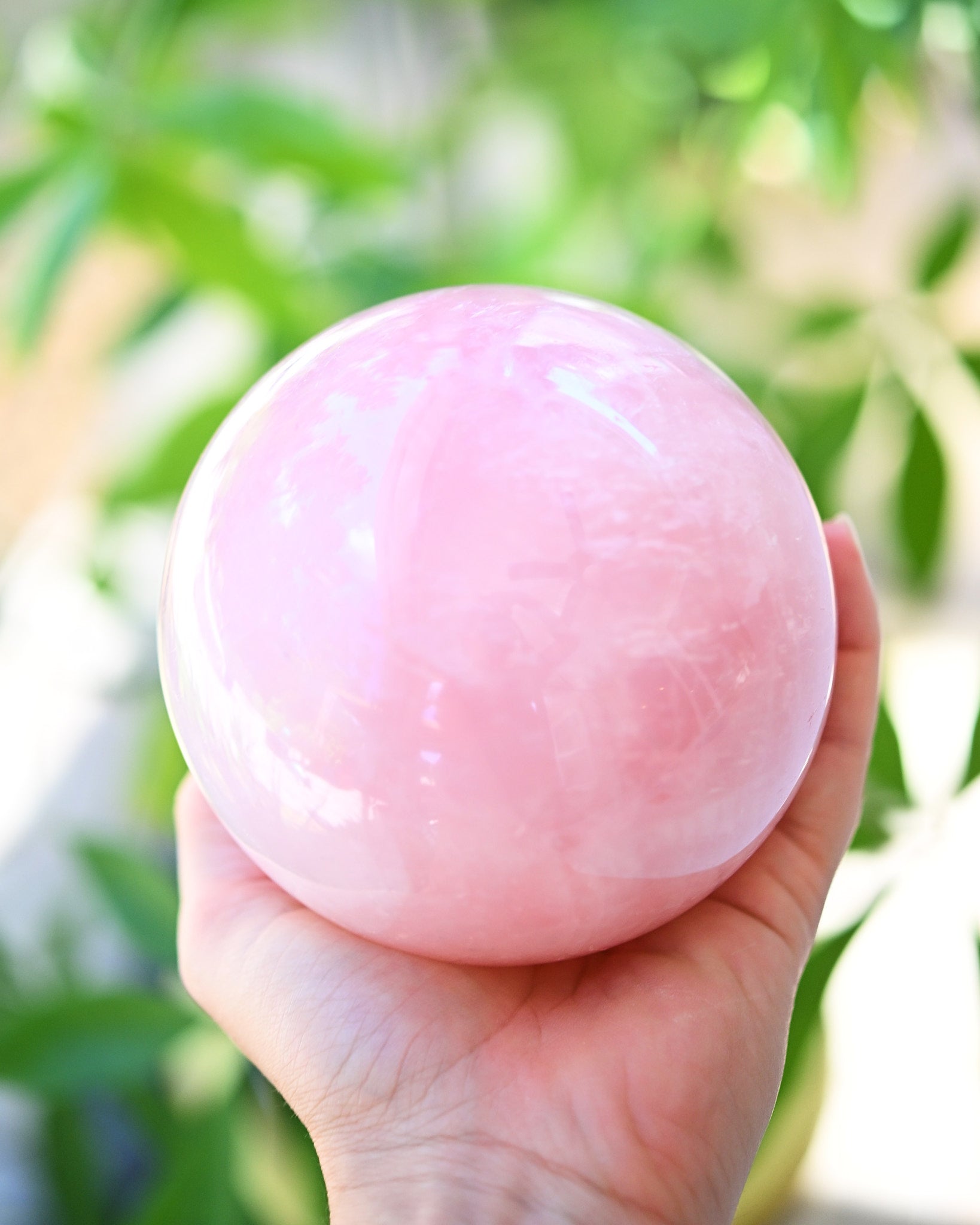 XL Rose Quartz Sphere 4lbs