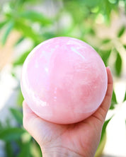 XL Rose Quartz Sphere 4lbs