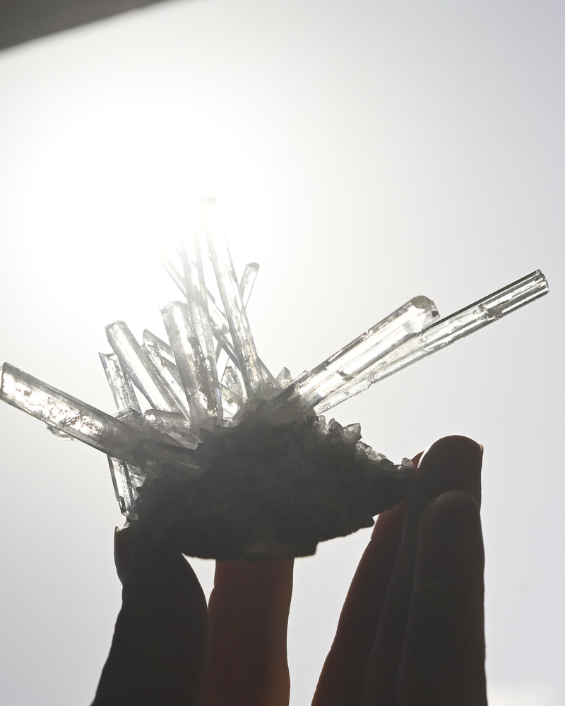 Selenite Crystal Cluster Platosa Mine, Durango, Mexico
