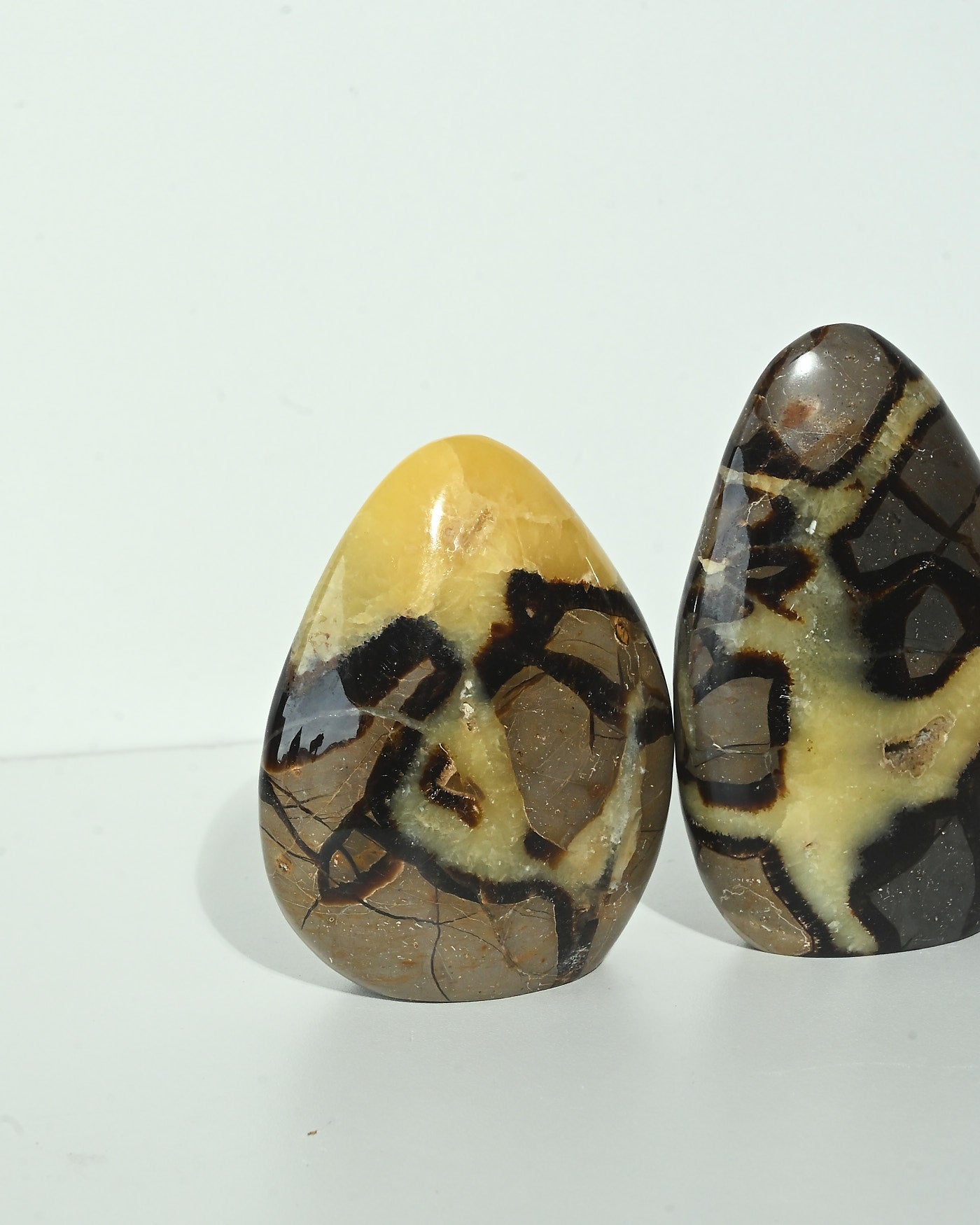 Septarian Freeform Madagascar