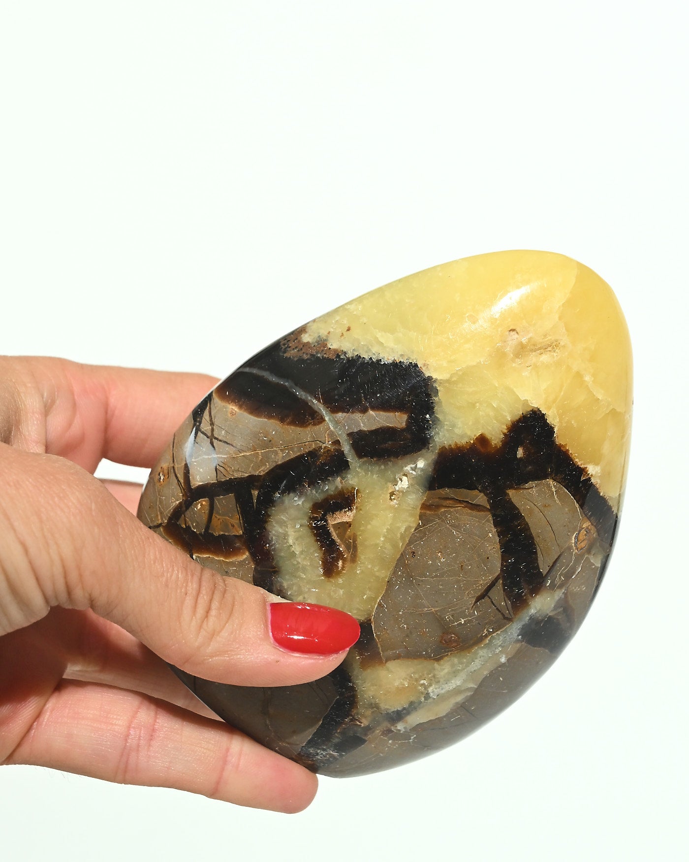 Septarian Freeform detail