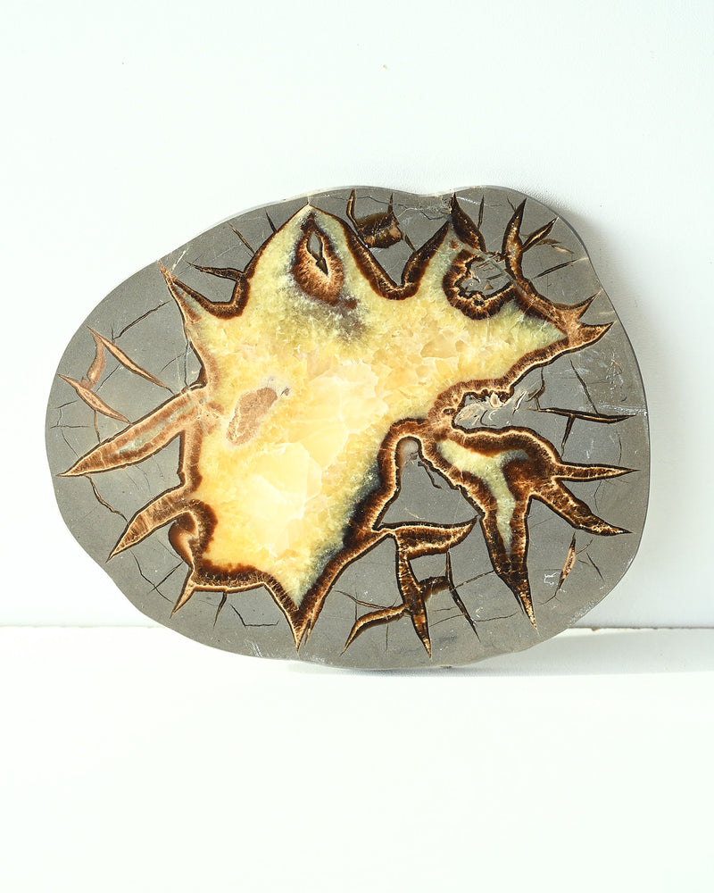 Septarian Slab 409g