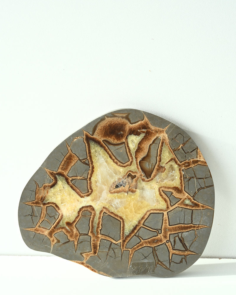 Septarian Slab