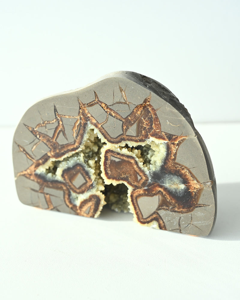 Septarian Nodule 587g
