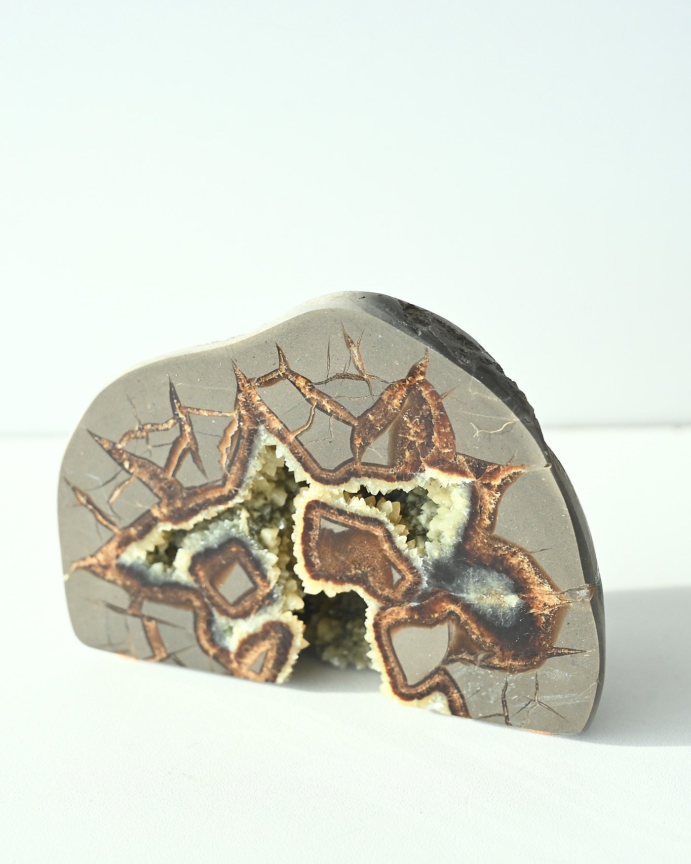 Septarian Nodule interior