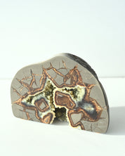 Septarian Nodule interior