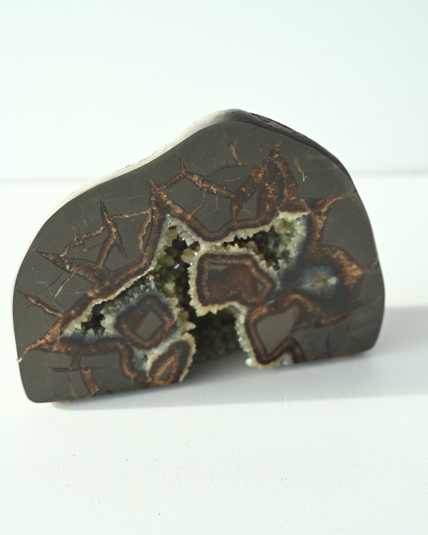 Septarian Nodule detail