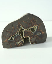 Septarian Nodule detail