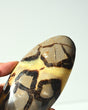 Septarian Freeform 463g
