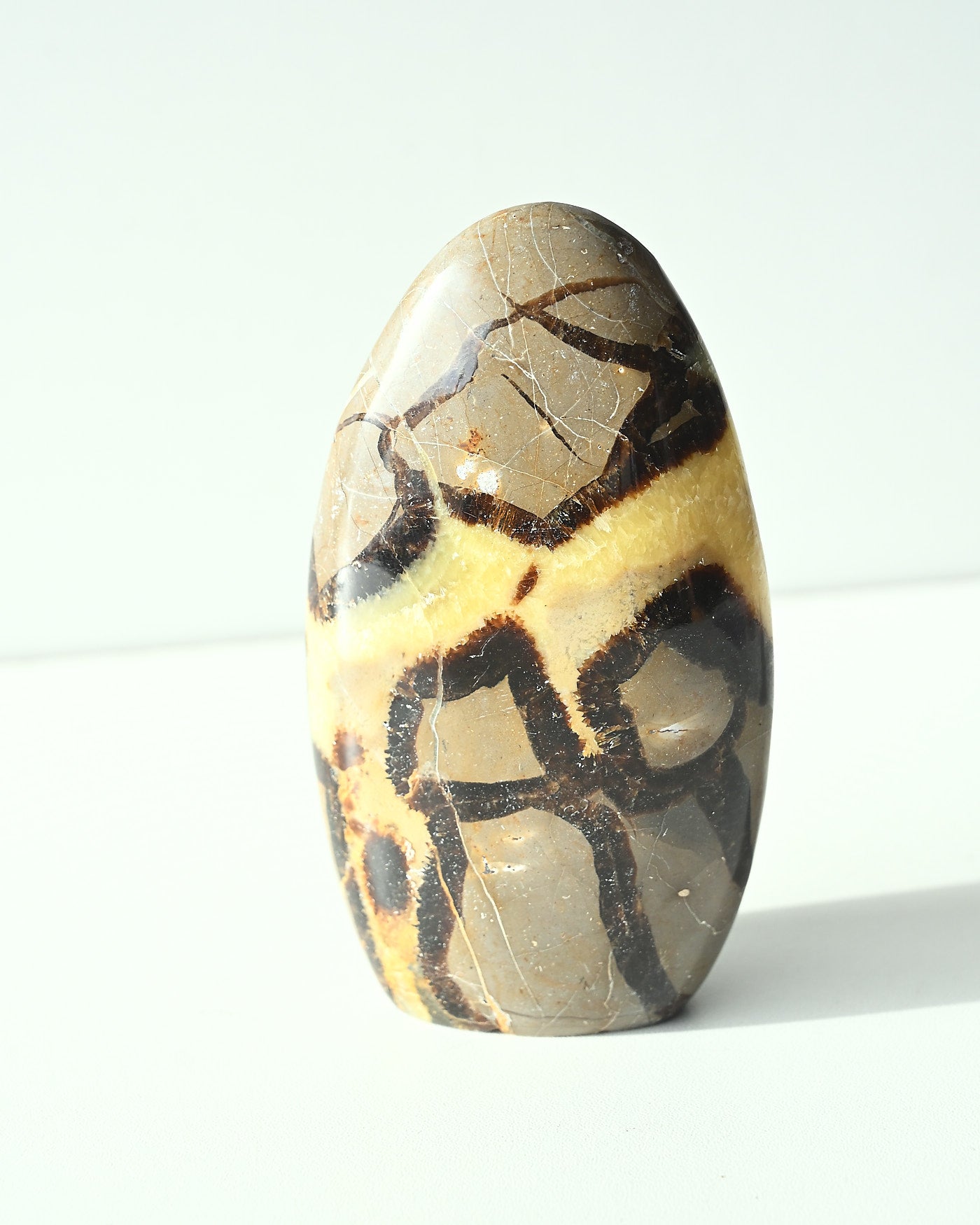 Septarian Freeform 463g side view showing natural calcite patterns