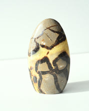 Septarian Freeform 463g side view showing natural calcite patterns