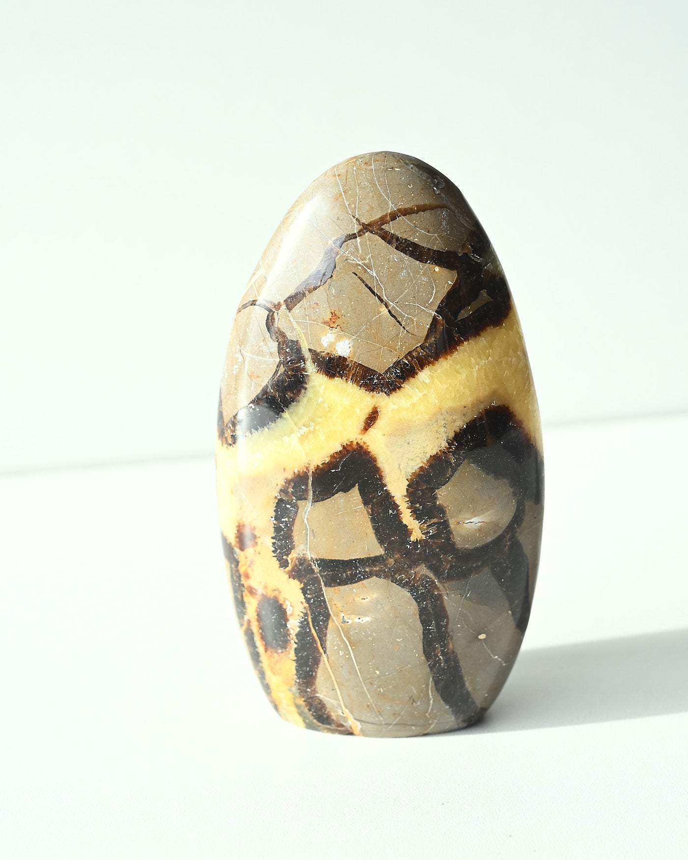 Septarian Freeform 463g detail of grey limestone and golden calcite
