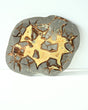 Septarian Statement Slab 989g