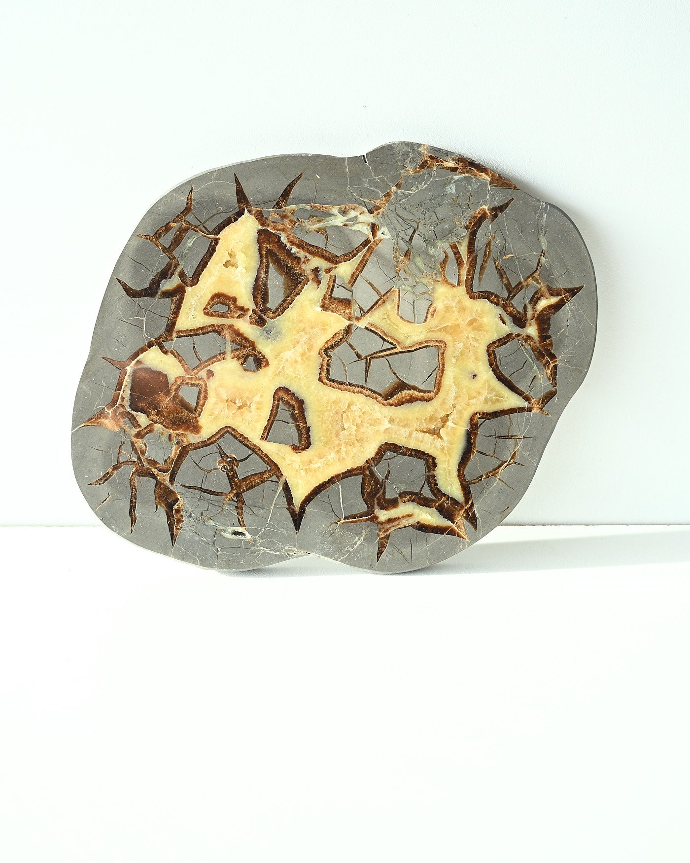 Septarian Statement Slab 989g side view showing calcite and aragonite patterns