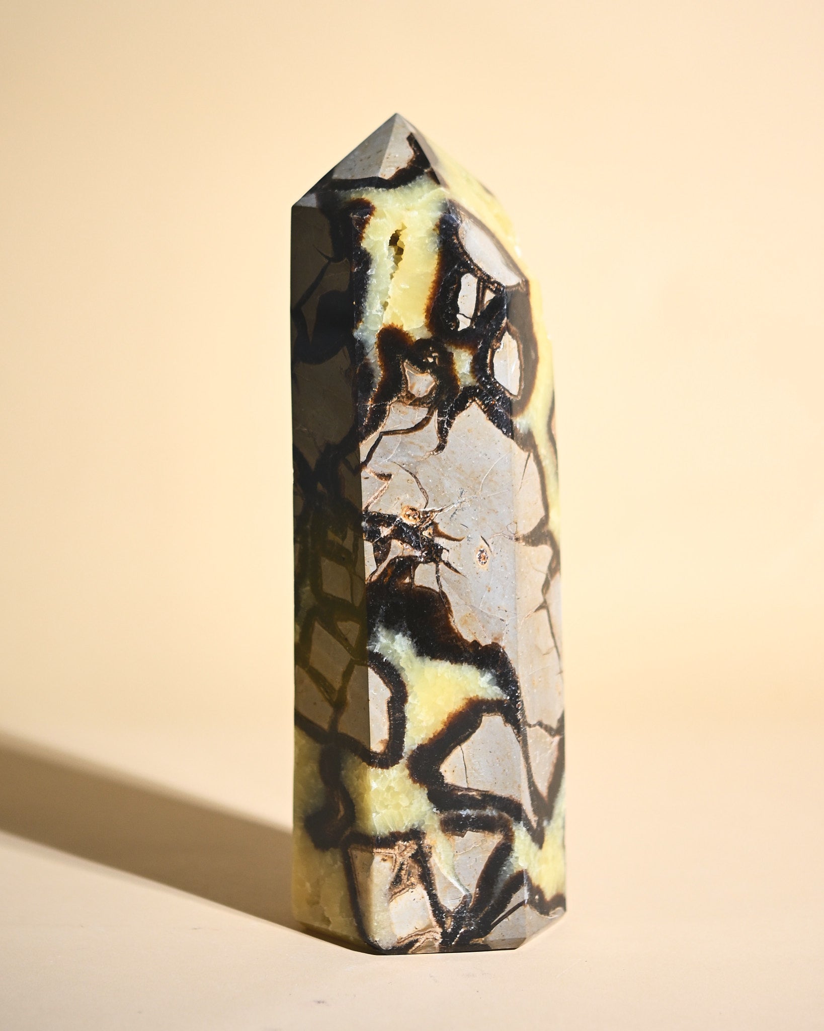 Septarian Tower 6.5lbs