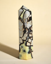 Septarian Tower 6.5lbs