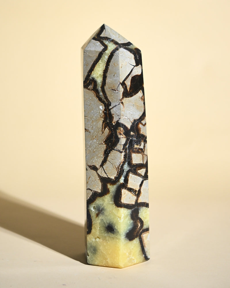 Septarian Tower 6.5lbs