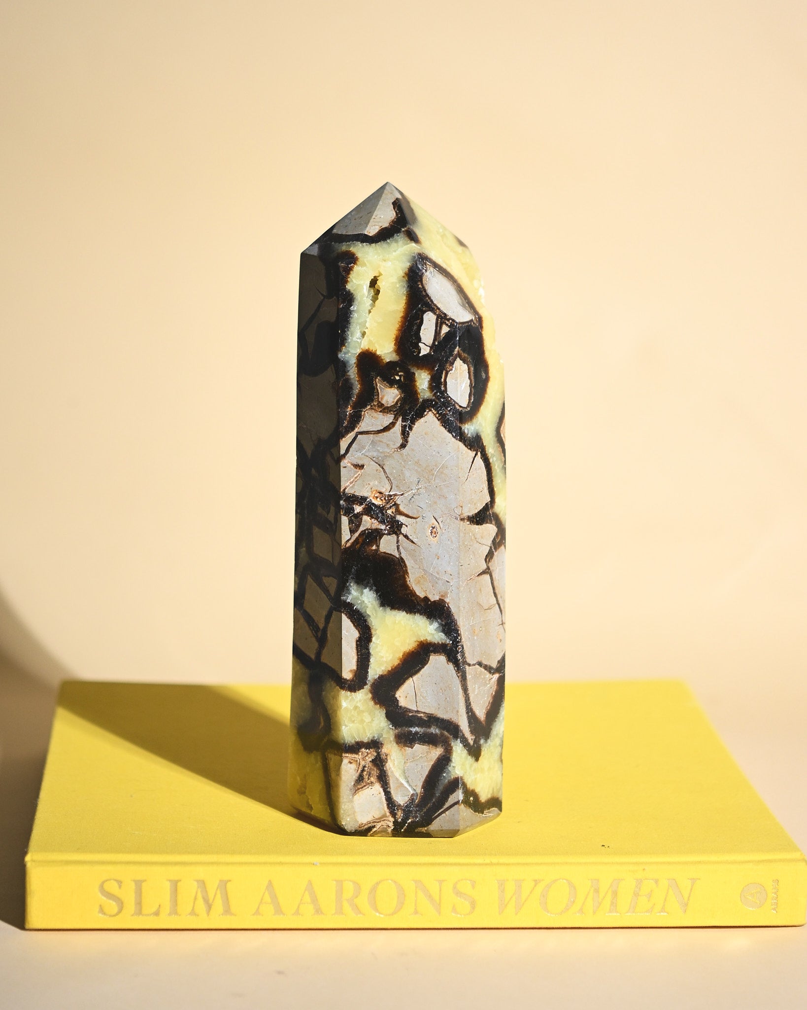 Septarian Tower 6.5lbs