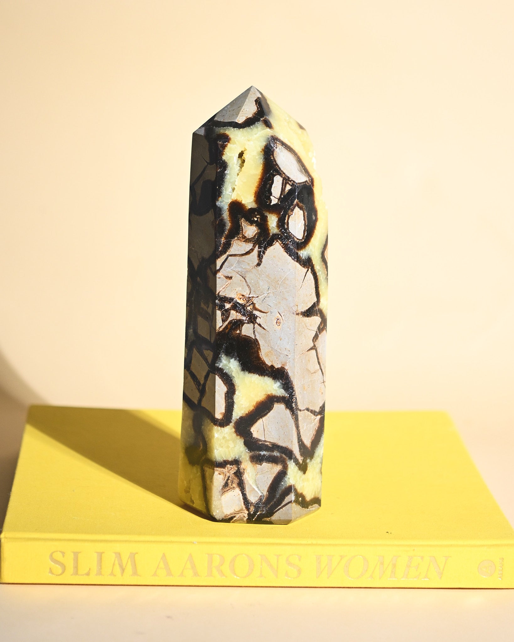 Septarian Tower 6.5lbs