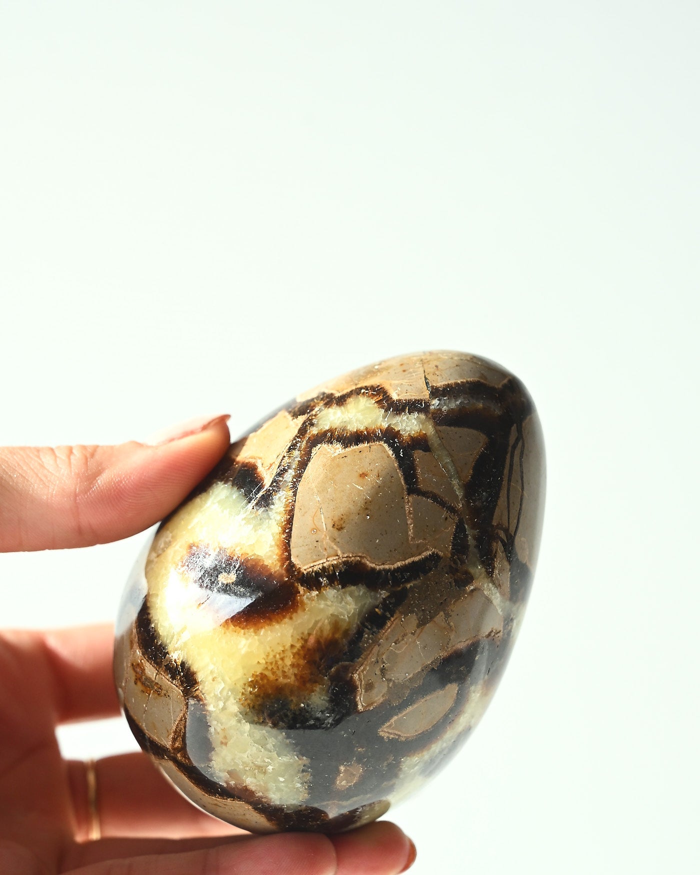 Serpentine Egg
