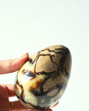 Serpentine Egg