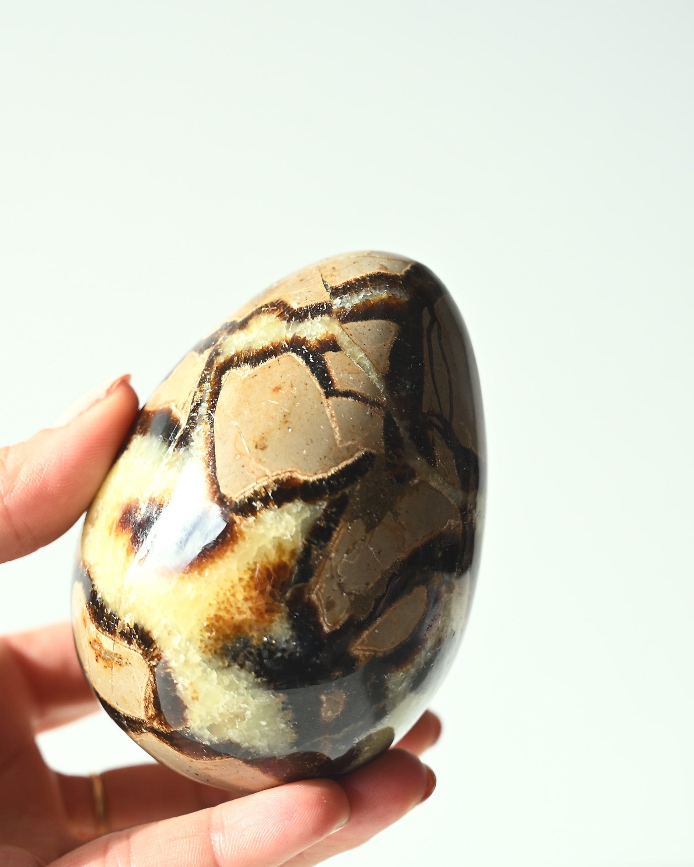 Serpentine Egg