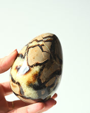 Serpentine Egg