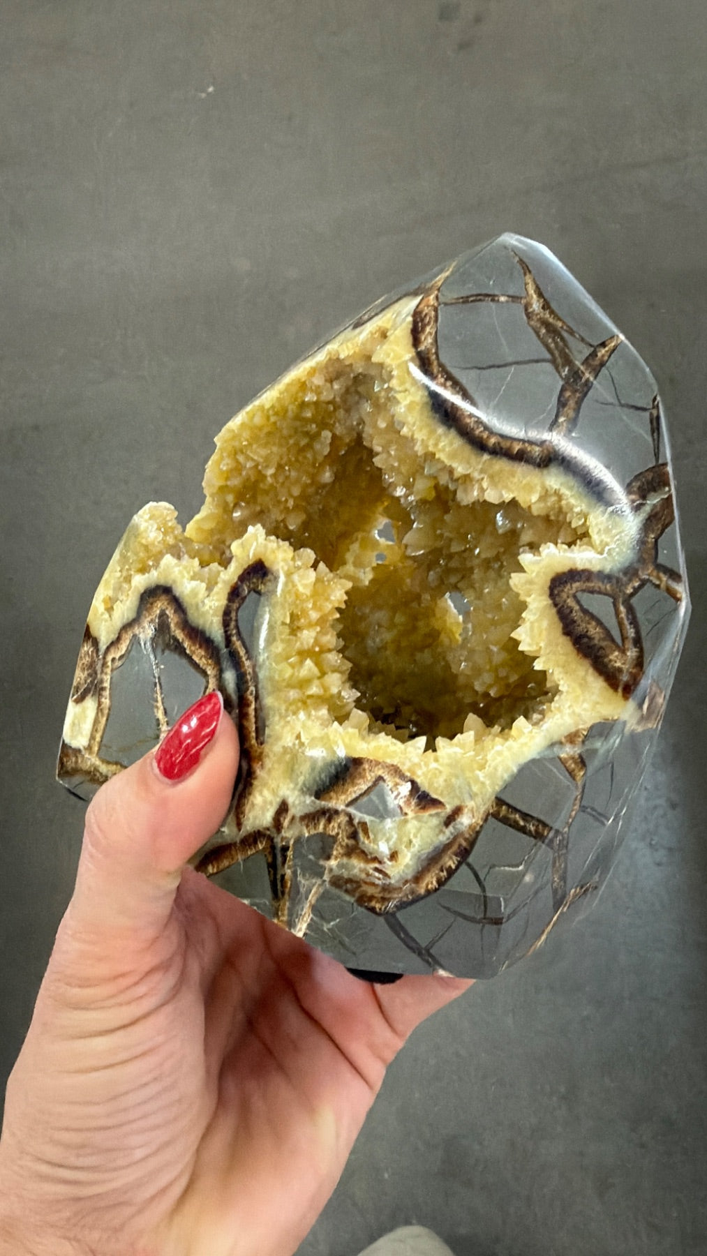 Polished all around septarian form from Utah family owned mine, bottom self standing base geodes all around