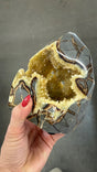 Polished all around septarian form from Utah family owned mine, bottom self standing base geodes all around