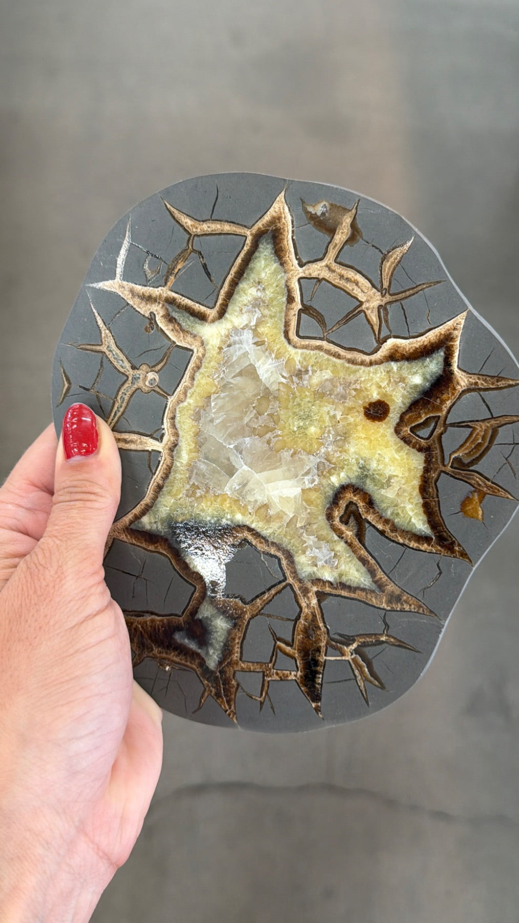 Polished septarian round form from Utah