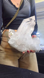 Statement clear a quality Quartz Cluster Brazil