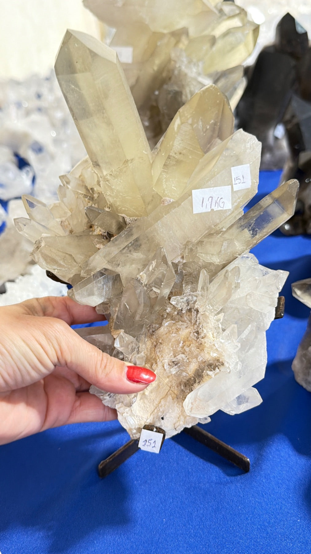 All natural, Smoky Quartz Cluster on stand from Brazil