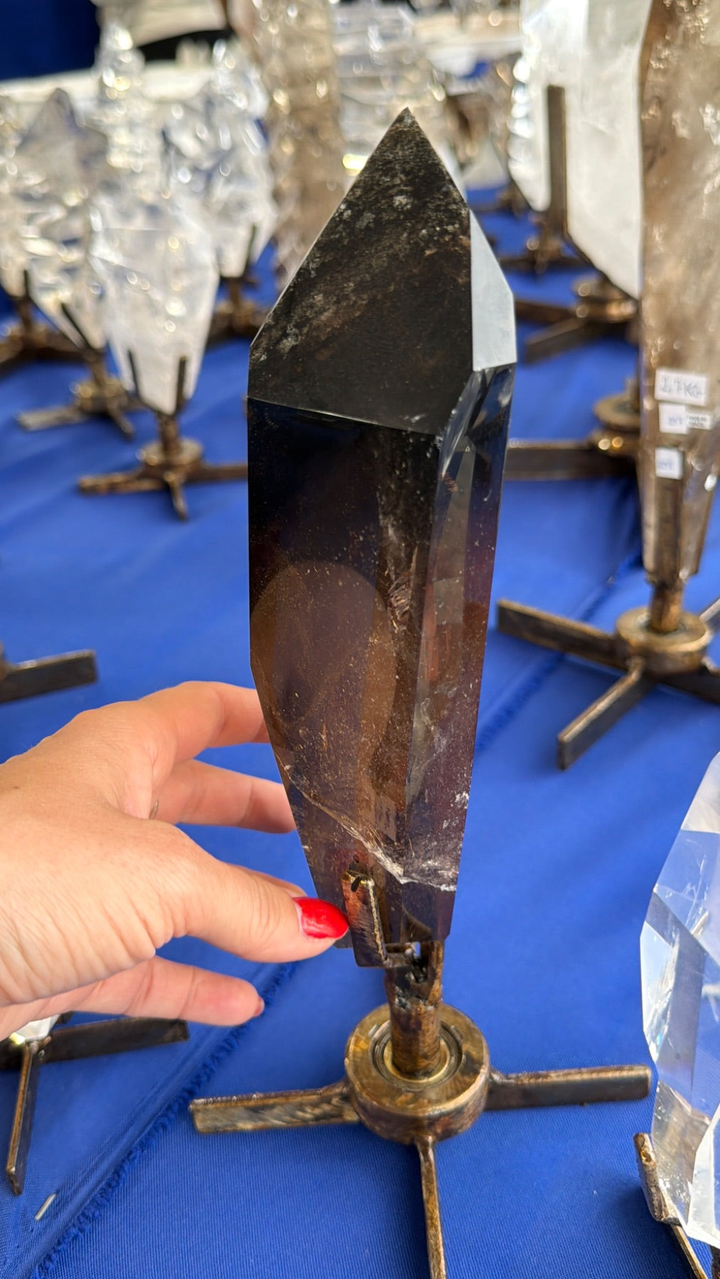 Natural polished Smoky Quartz with Chlorite on spinning stand Brazil