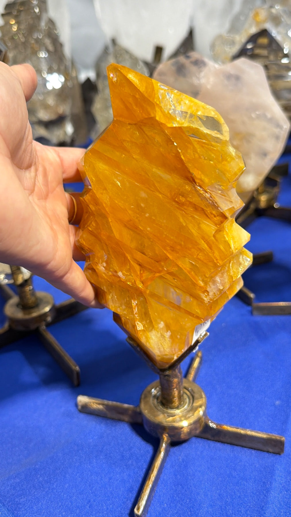 Super quality golden healer a