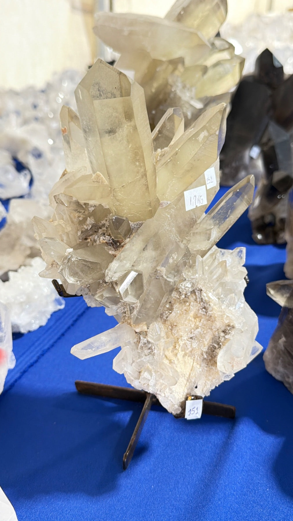 All natural, Smoky Quartz Cluster on stand from Brazil