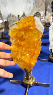 Super quality golden healer a