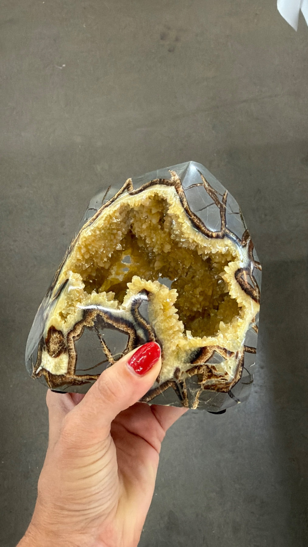 Polished all around septarian form from Utah family owned mine, bottom self standing base geodes all around