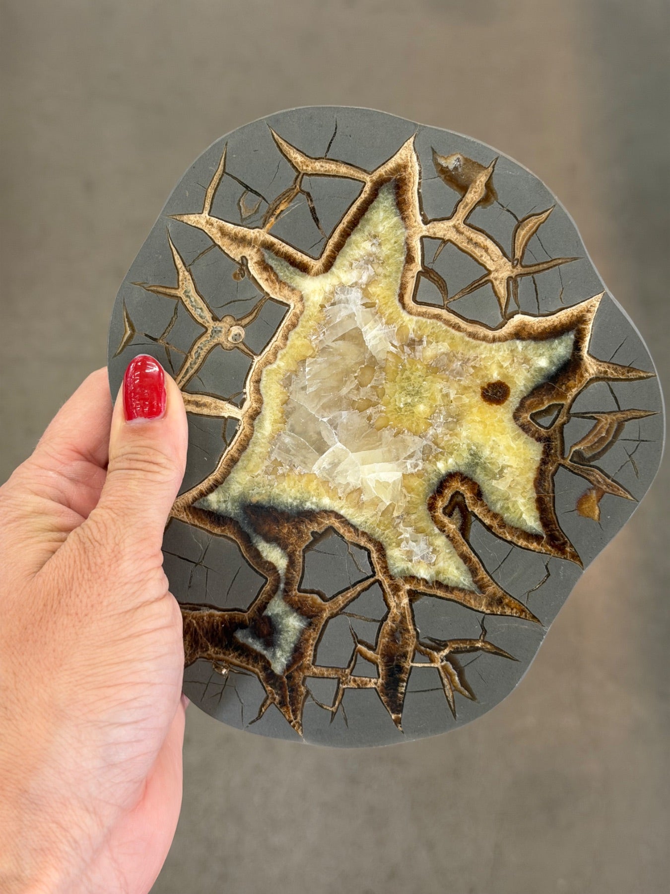 Polished septarian round form from Utah
