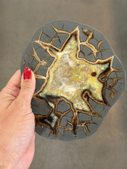 Polished septarian round form from Utah