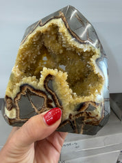 Polished all around septarian form from Utah family owned mine, bottom self standing base geodes all around