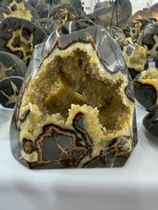 Polished all around septarian form from Utah family owned mine, bottom self standing base geodes all around