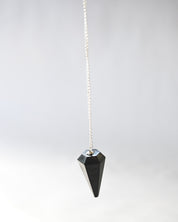 Shungite Pendulum