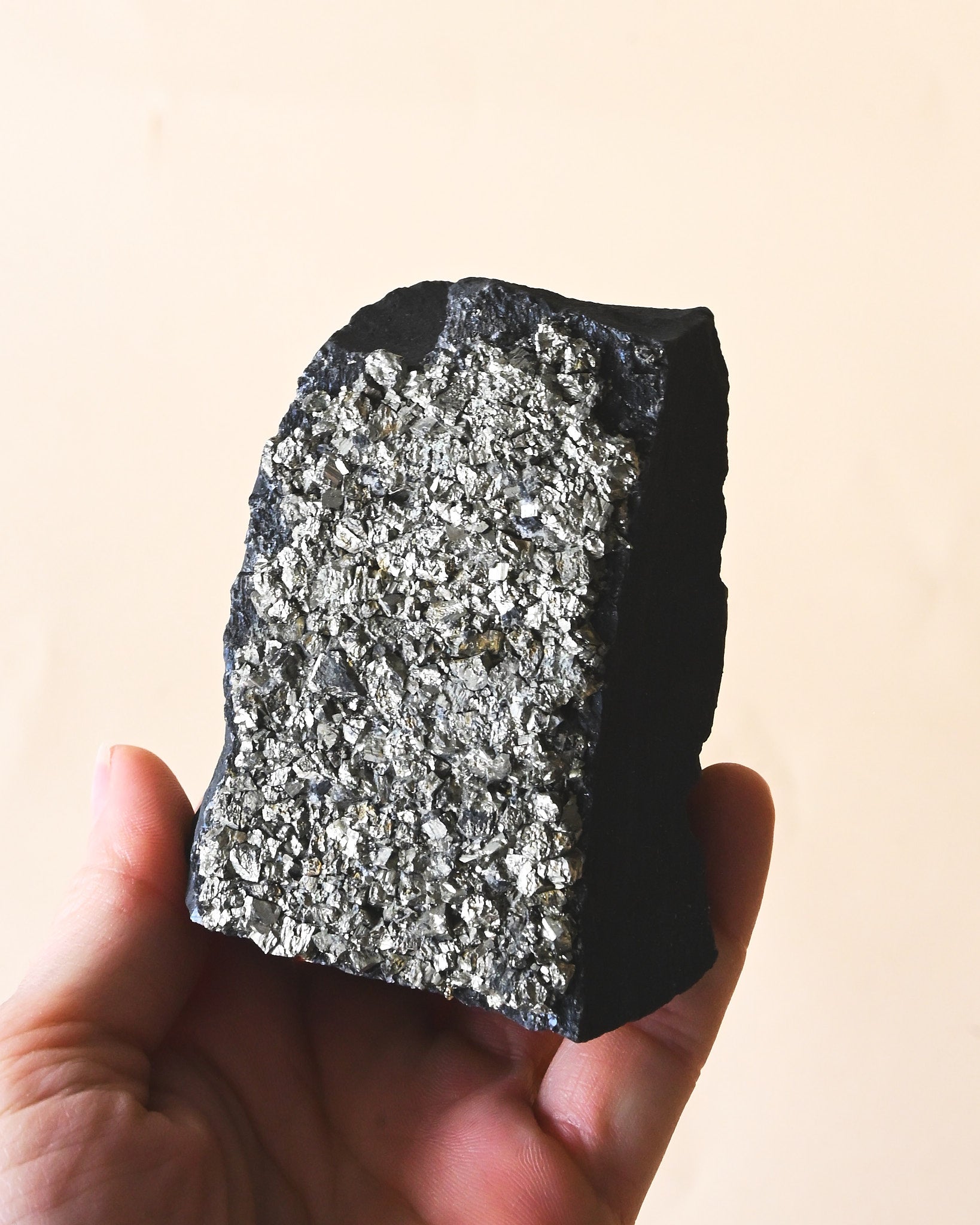 Shungite with Pyrite Rough Specimen
